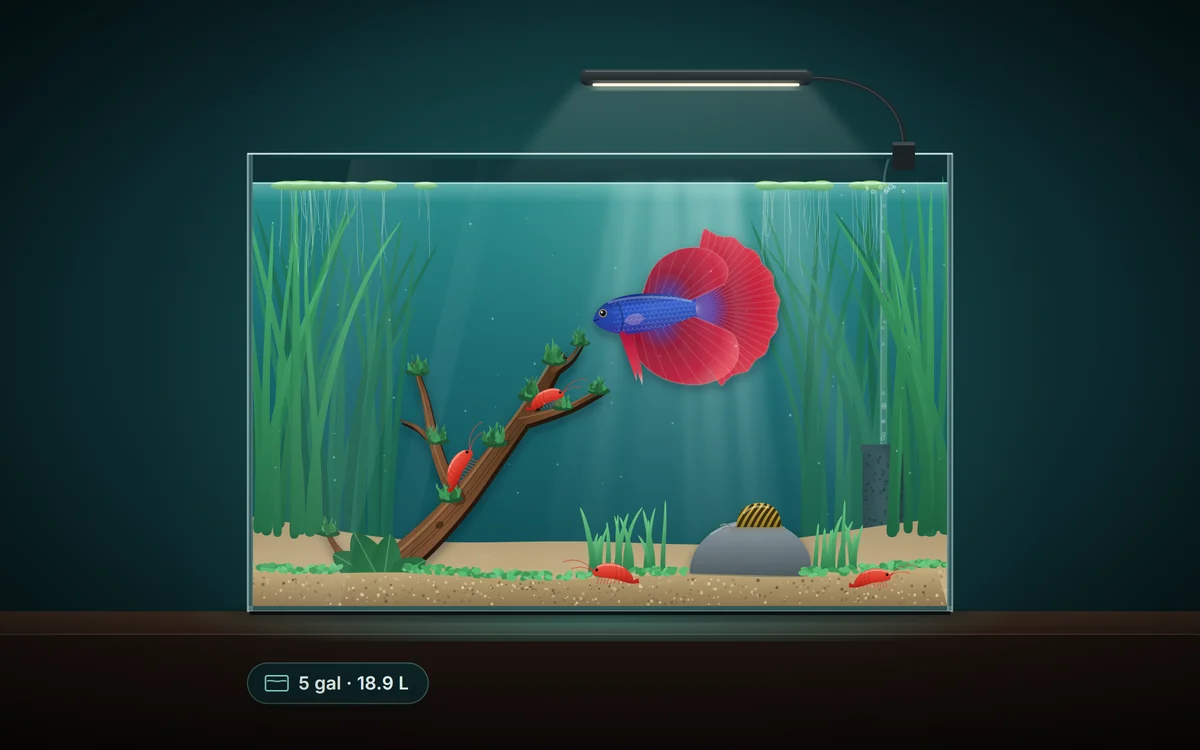 Illustration of a planted 5 gallon aquarium with one red and blue betta, cherry shrimp on driftwood with flame moss, a zebra nerite snail on a stone, and a sponge filter